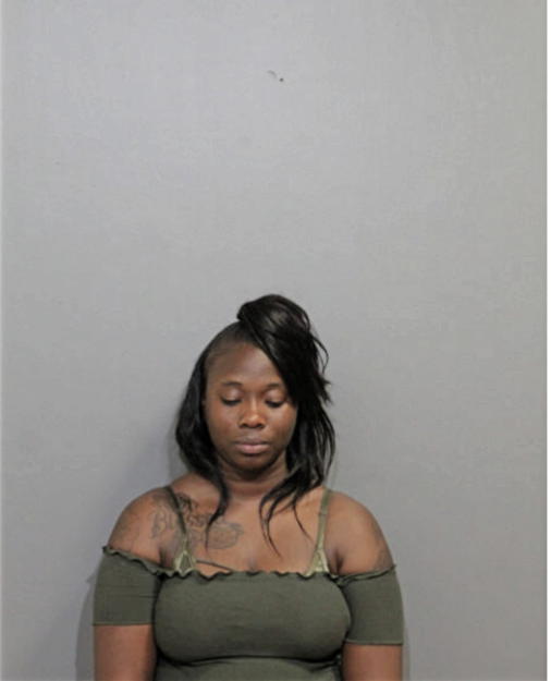 ZARAYYA N NOBLE, Cook County, Illinois
