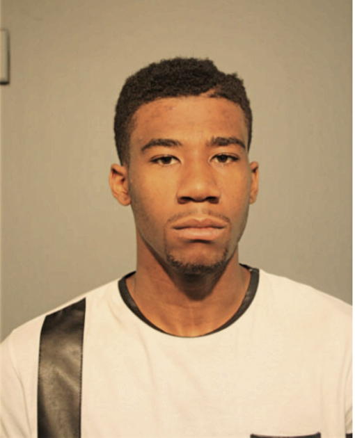 SAMUEL A OGUNLEYE, Cook County, Illinois
