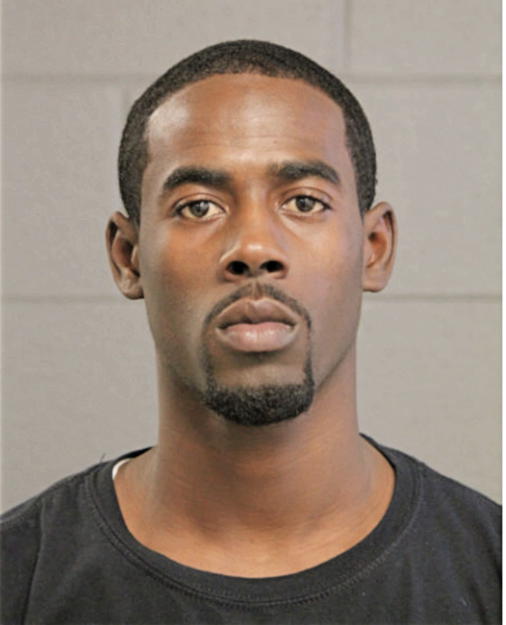 BRANDON D PALMER, Cook County, Illinois