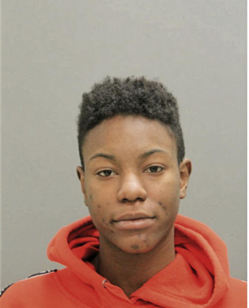 ELISA R PAYNE, Cook County, Illinois
