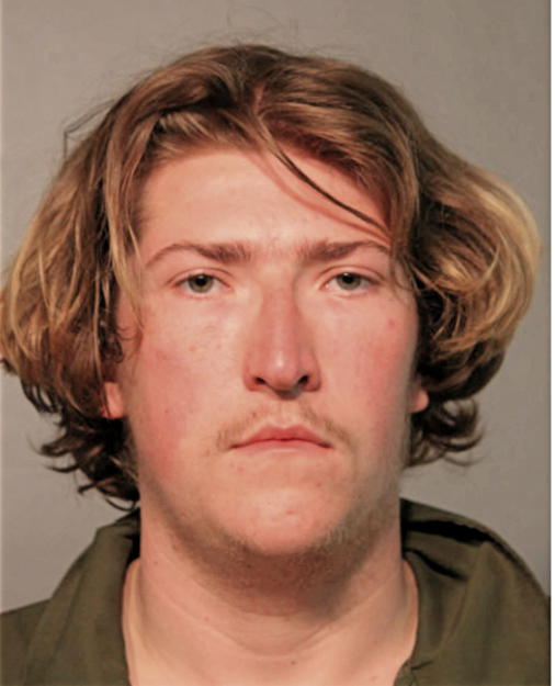BRANDON D PRICKET, Cook County, Illinois