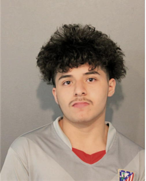 CHRISTIAN REYES, Cook County, Illinois