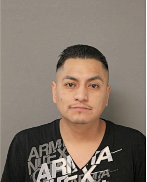 FERNANDO REYES, Cook County, Illinois