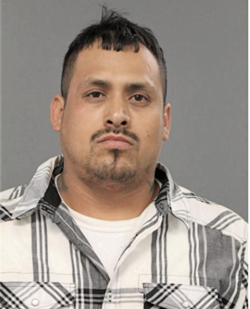 OMAR REYNA, Cook County, Illinois