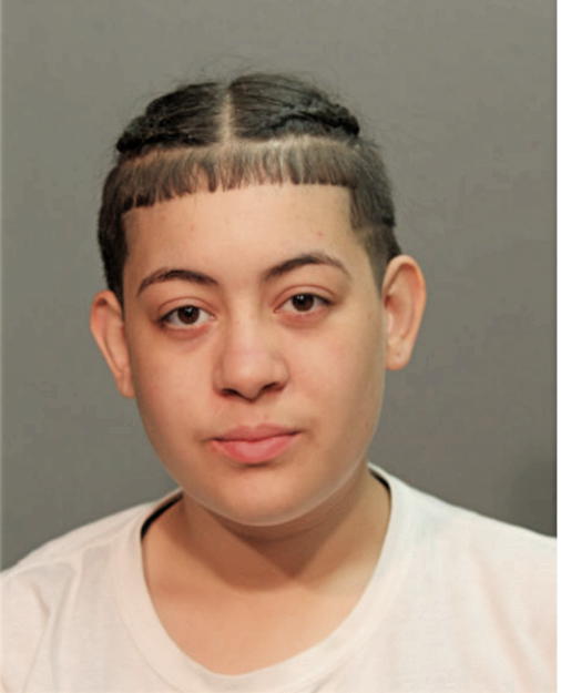 AMANDA A RODRIGUEZ, Cook County, Illinois