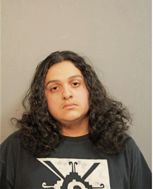 DIEGO G RODRIGUEZ, Cook County, Illinois
