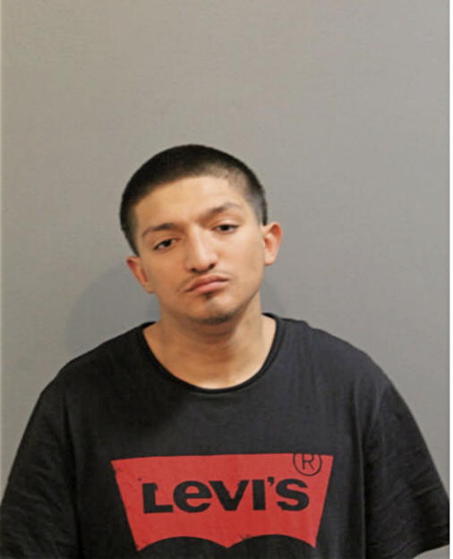 JOSE L RODRIGUEZ, Cook County, Illinois