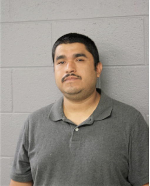 HOMERO SANCHEZ, Cook County, Illinois
