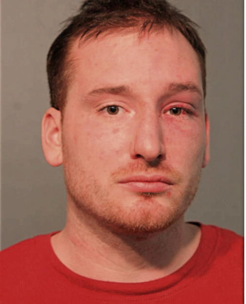 JOSHUA M SISSON, Cook County, Illinois