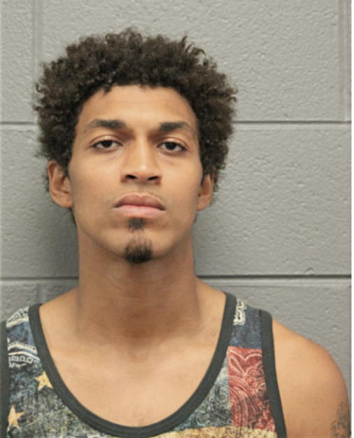 MALIK A SOLEYMANIZANJANI, Cook County, Illinois