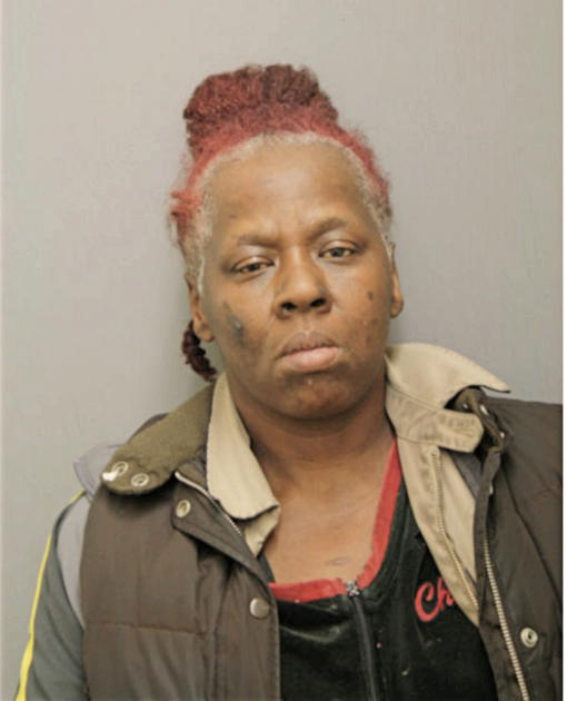 MELISSA J TURNER, Cook County, Illinois