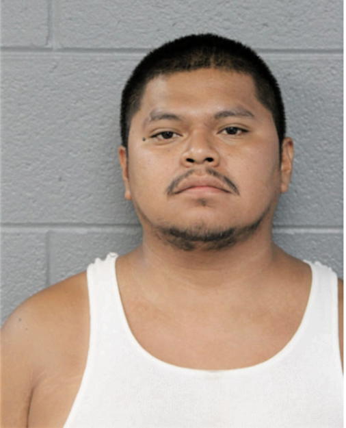 MARCO A VILLALOBOS, Cook County, Illinois