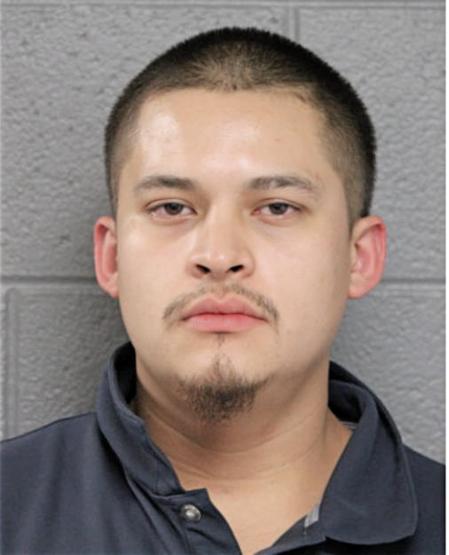 WUILIBALDO ZARAGOZA, Cook County, Illinois