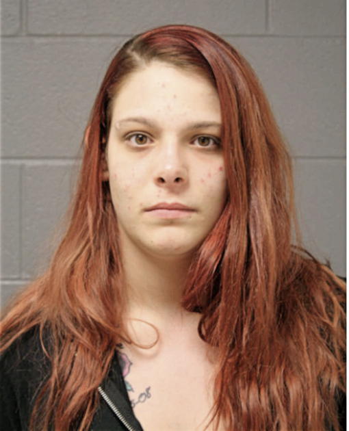 SAMANTHA M AHNEFELD, Cook County, Illinois