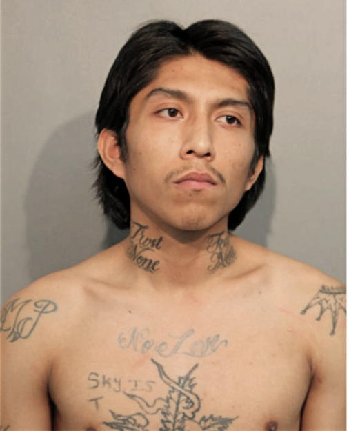 JOSE D ALEGRIA, Cook County, Illinois