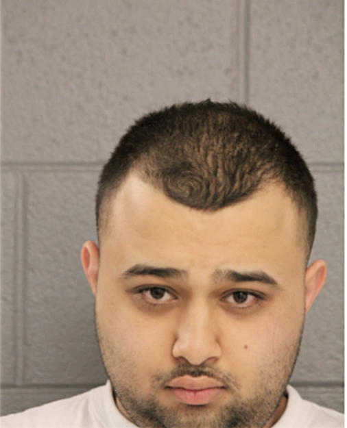 MOHANAD S ELAYYAN, Cook County, Illinois