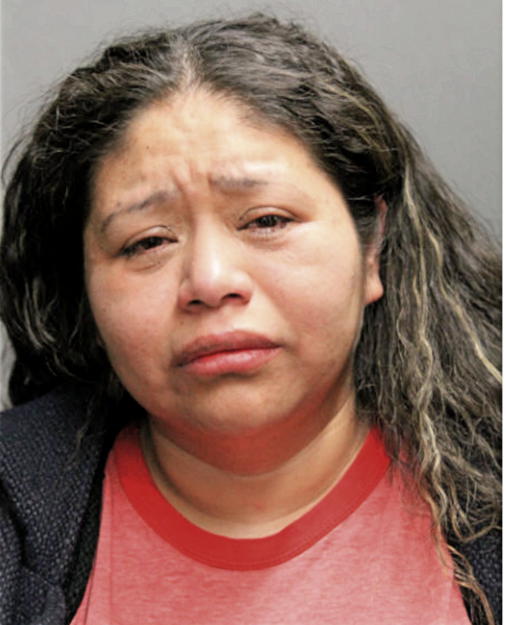 ANTONIA FAJES-SALAZAR, Cook County, Illinois