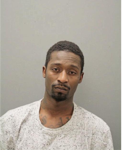 JAMES E FORD, Cook County, Illinois