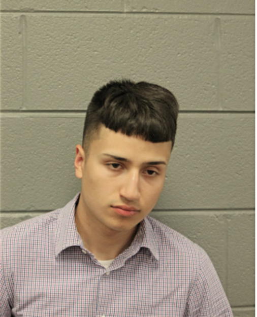 MIGUEL ANGEL GONZALEZ, Cook County, Illinois