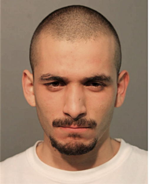 SAUL HERNANDEZ-GARCIA, Cook County, Illinois