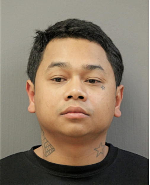 ANH LU, Cook County, Illinois