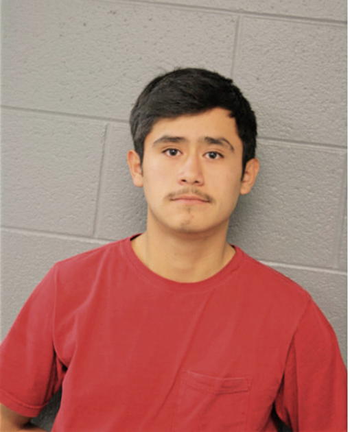 CARLOS MAGALLANES, Cook County, Illinois