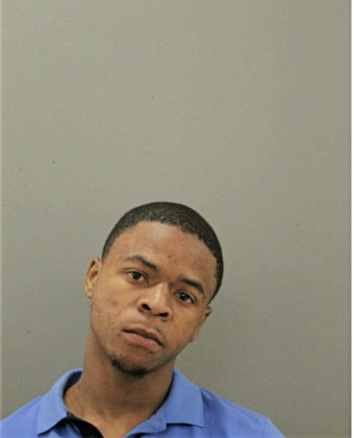 JOSHUA E MILLER, Cook County, Illinois