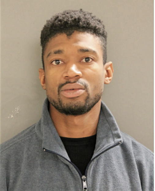 ARNELL M NETTLES, Cook County, Illinois