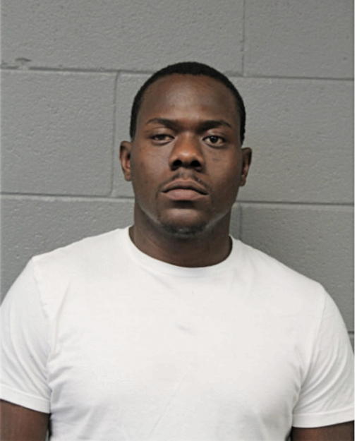 JARVIS T RICE, Cook County, Illinois