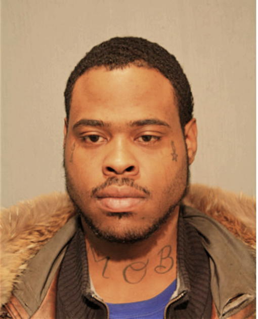 MICHAEL D RICH, Cook County, Illinois