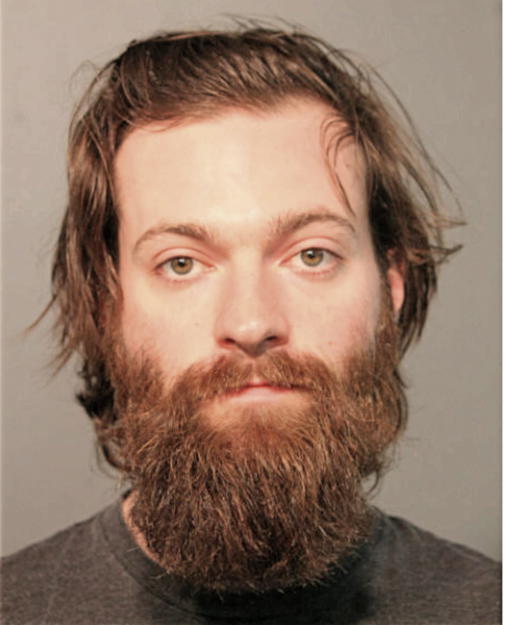 MATHEW J SCHULTZ, Cook County, Illinois