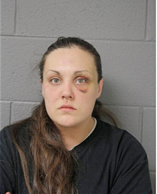 BRITTANY K STEVENSON, Cook County, Illinois