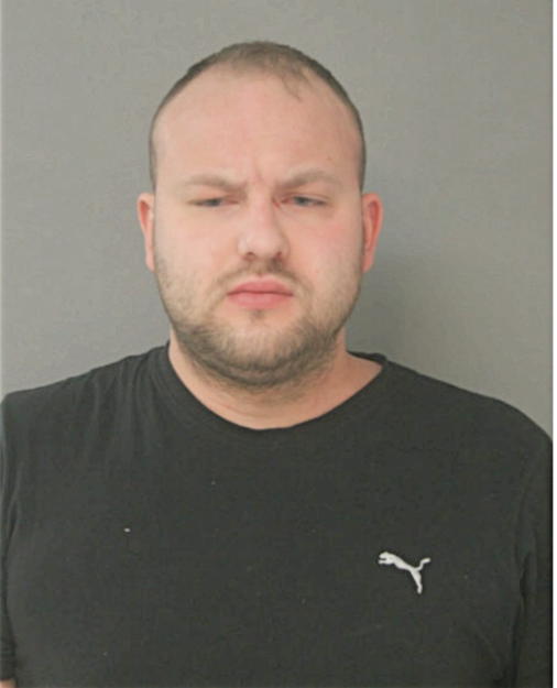 KAROL P ZIELINSKI, Cook County, Illinois