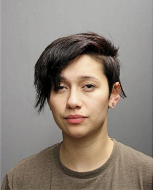 IRENE ZUNIGA, Cook County, Illinois