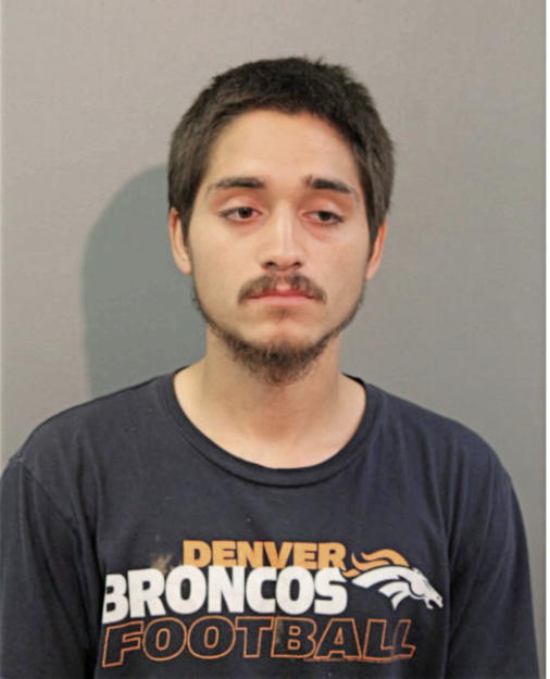MICHAEL A ALVAREZ, Cook County, Illinois