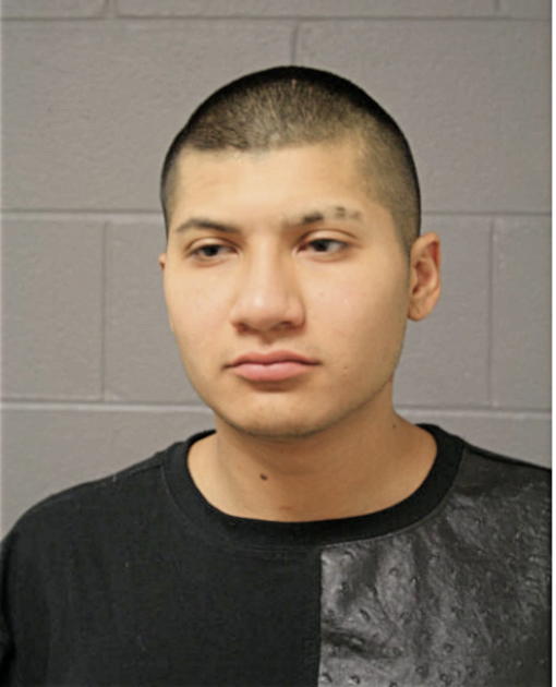 DAVID C ARIAS, Cook County, Illinois