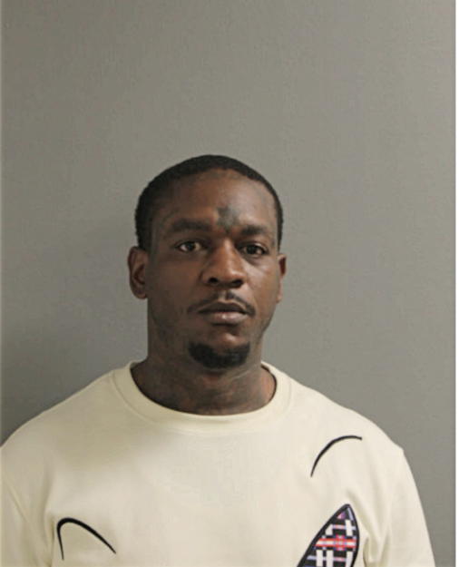 DENNIS M BOYD, Cook County, Illinois
