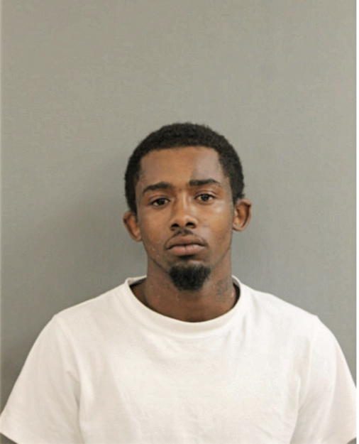 GREGORY L DAVIS, Cook County, Illinois