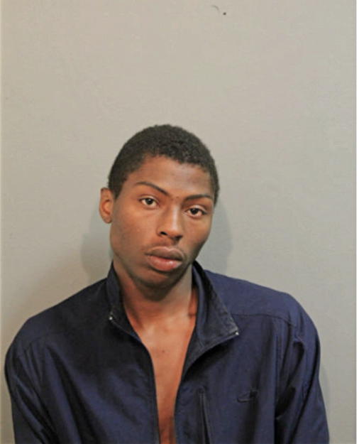 KENNETH M DAVIS, Cook County, Illinois