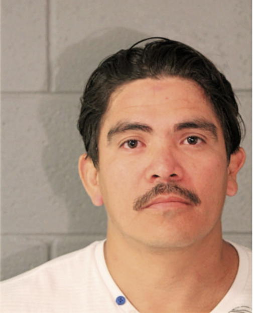 ALEXANDER GEOVANNY ESTRADA, Cook County, Illinois