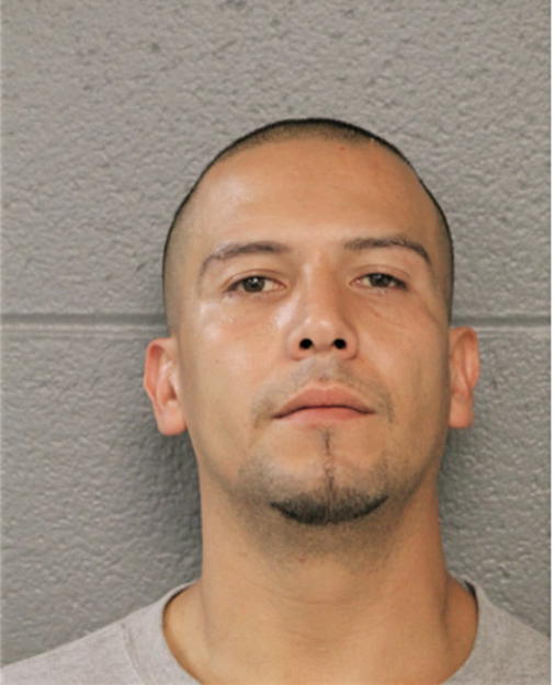 EDGAR FLORES, Cook County, Illinois