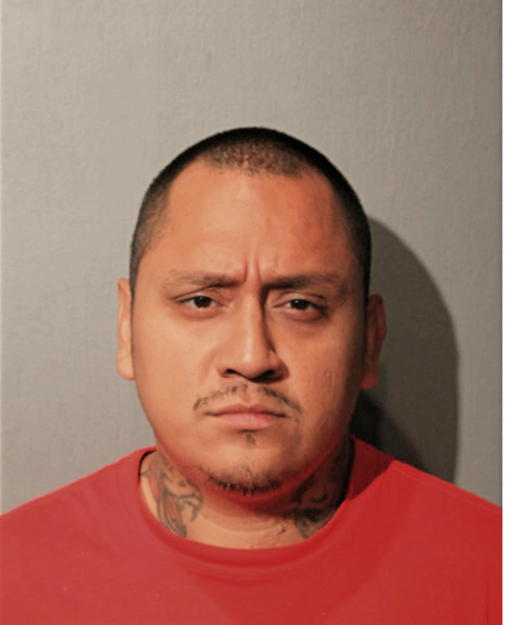 ROBERTO A GAMEZ, Cook County, Illinois