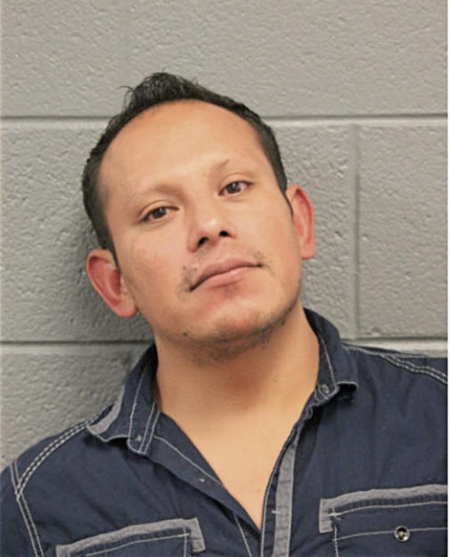 RENE MENDOZA GONZALEZ, Cook County, Illinois