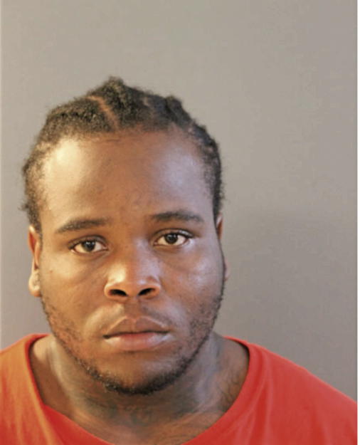 TERRANCE E GOSTON, Cook County, Illinois