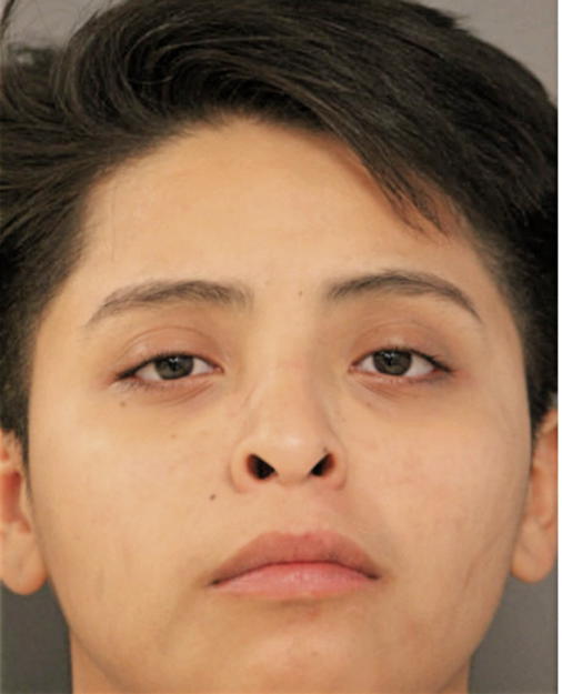 YESENIA GUILEN, Cook County, Illinois
