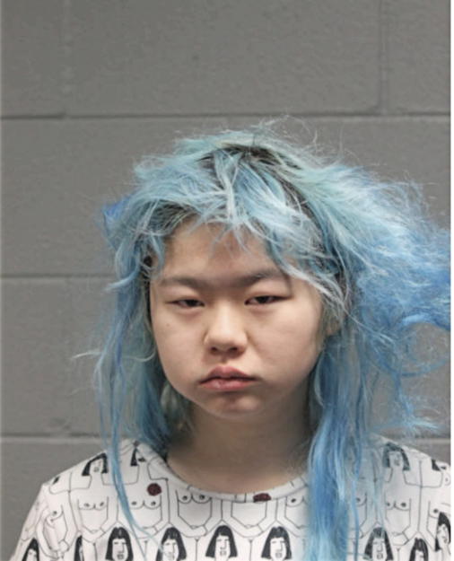 DANIELLE HUI, Cook County, Illinois