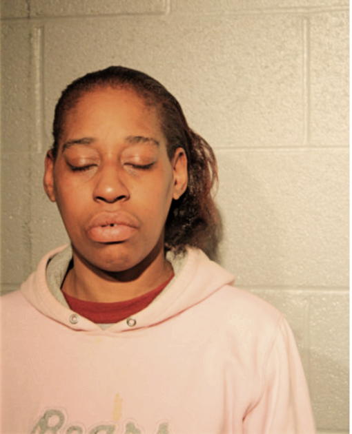SHANICE C HUNTER-OGUNOSUN, Cook County, Illinois