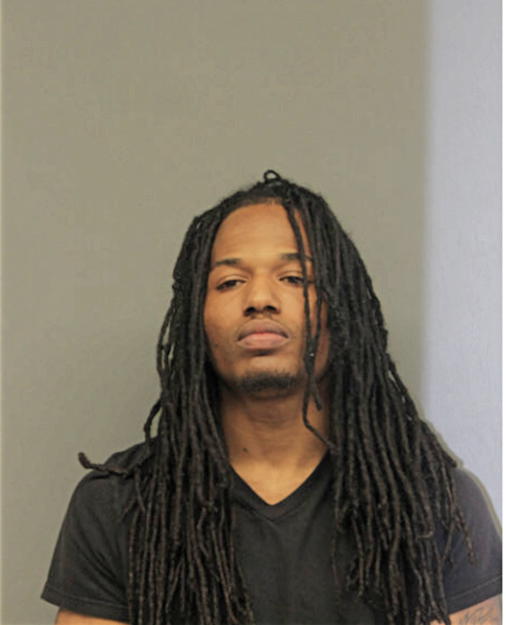 TASHAUN G JOHNSON, Cook County, Illinois