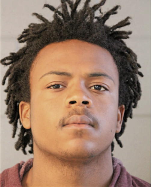 SEAN L KING, Cook County, Illinois