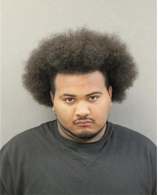 DAVE D LEFLORE, Cook County, Illinois